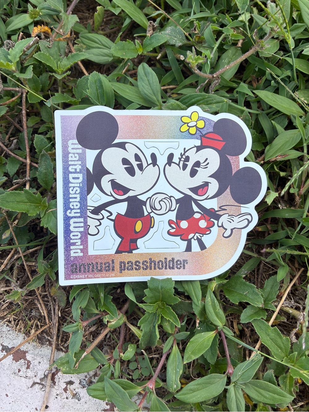 Minnie & Mickey Annual Pass holder Magnet